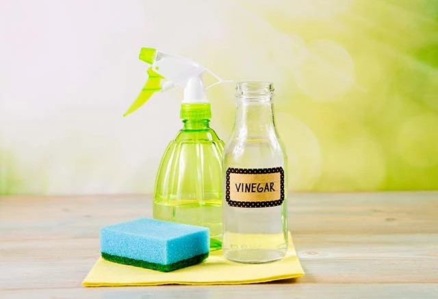 Vinegar_-sponge_-and-a-spraying-bottle