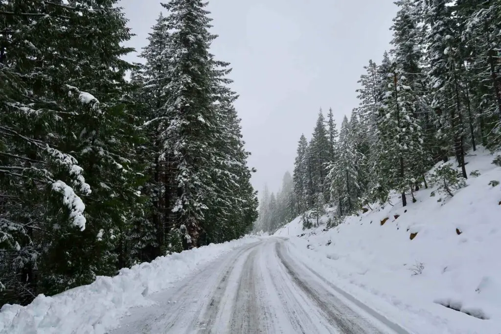 Snow on the road in a forest