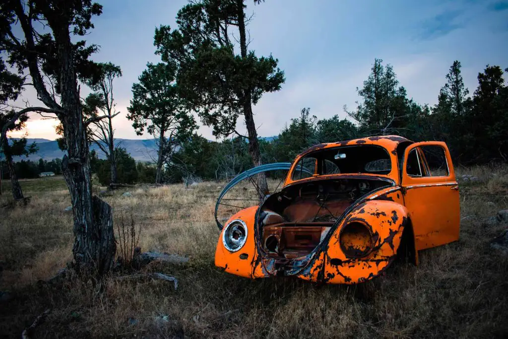 A rusty orange Volkswagen Beetle in nature