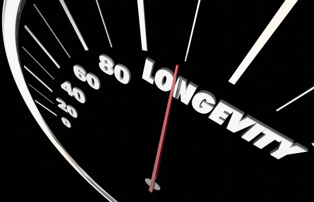 Longevity Lasting Life Span Word Speedometer 3d Illustration